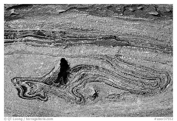 Incrustation pattern in obsidian glass close-up. Newberry Volcanic National Monument, Oregon, USA (black and white)