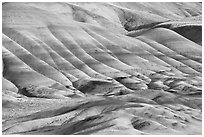 Pictures of John Day Fossils Bed National Monument