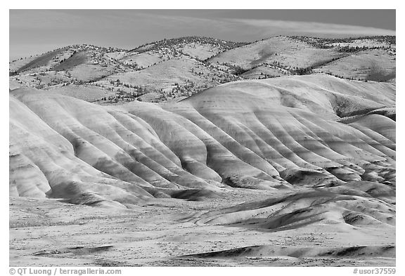 Painted hills. John Day Fossils Bed National Monument, Oregon, USA (black and white)
