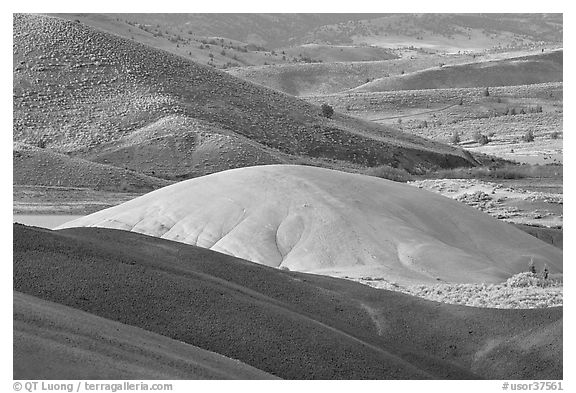 Bare ash mounds and sagebrush-covered slopes. John Day Fossils Bed National Monument, Oregon, USA (black and white)