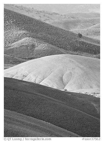 Weathered ash hummocks and sagebrush-covered slopes. John Day Fossils Bed National Monument, Oregon, USA (black and white)