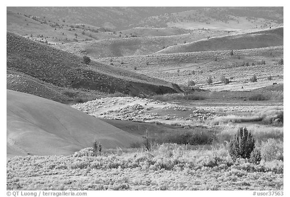Sagebrush and ash hills. John Day Fossils Bed National Monument, Oregon, USA