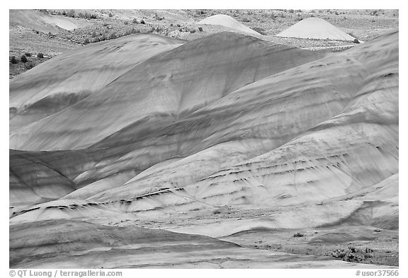 Weathered volcanic ash hills. John Day Fossils Bed National Monument, Oregon, USA (black and white)