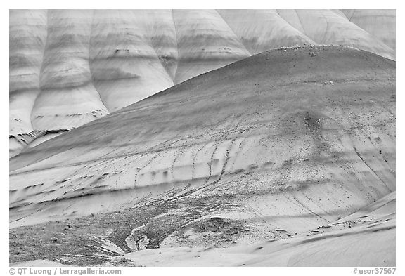 Colorful hummocks and hills. John Day Fossils Bed National Monument, Oregon, USA (black and white)