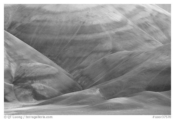 Colorful claystone hills. John Day Fossils Bed National Monument, Oregon, USA (black and white)
