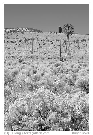 Sagebrush slopes and windmill. Oregon, USA