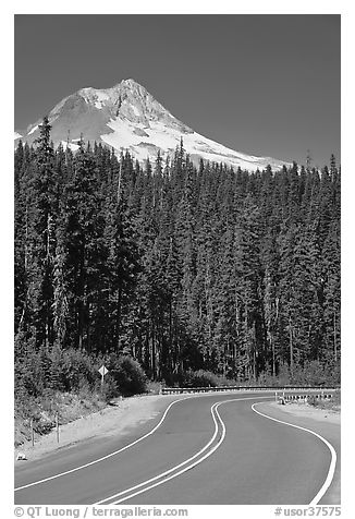Road and Mt Hood. Oregon, USA (black and white)