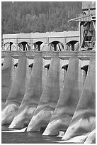 Bonneville Dam. Columbia River Gorge, Oregon, USA (black and white)