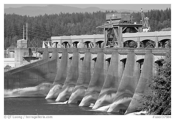Bonneville Dam. Columbia River Gorge, Oregon, USA (black and white)
