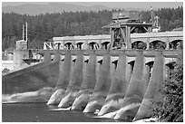 Bonneville Dam. Columbia River Gorge, Oregon, USA (black and white)