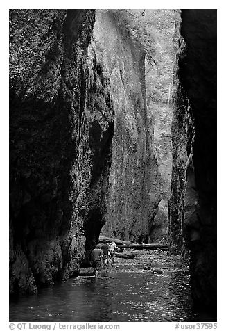 Hikers wading, Oneonta Gorge. Columbia River Gorge, Oregon, USA