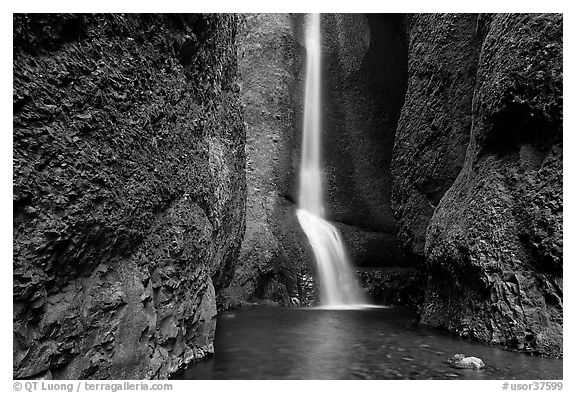 Oneonta Falls. Columbia River Gorge, Oregon, USA (black and white)