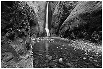 Oneonta Gorge and falls. Columbia River Gorge, Oregon, USA (black and white)