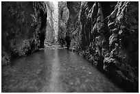 Stream and moss-covered walls, Oneonta Gorge. Columbia River Gorge, Oregon, USA (black and white)