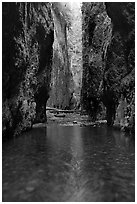 Stream and slot-like canyon walls, Oneonta Gorge. Columbia River Gorge, Oregon, USA (black and white)