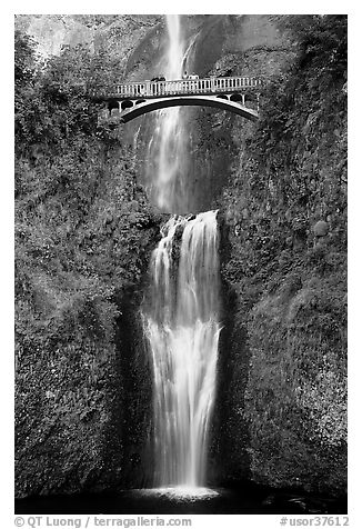 Lower Multnomah Falls and Benson Bridge. Columbia River Gorge, Oregon, USA