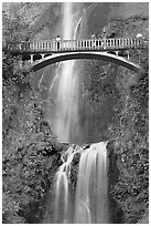 Benson Bridge and Multnomah Falls. Columbia River Gorge, Oregon, USA (black and white)