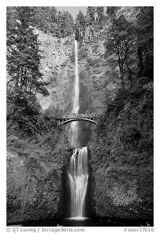 Multnomah Falls. Columbia River Gorge, Oregon, USA (black and white)