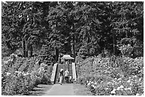 Alley in Rose Garden. Portland, Oregon, USA ( black and white)