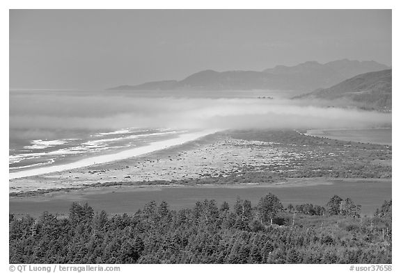 River estuary and fog near Cap Meares. Oregon, USA (black and white)