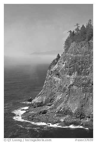 Seacliff near Cap Meares. Oregon, USA (black and white)