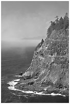 Seacliff near Cap Meares. Oregon, USA (black and white)