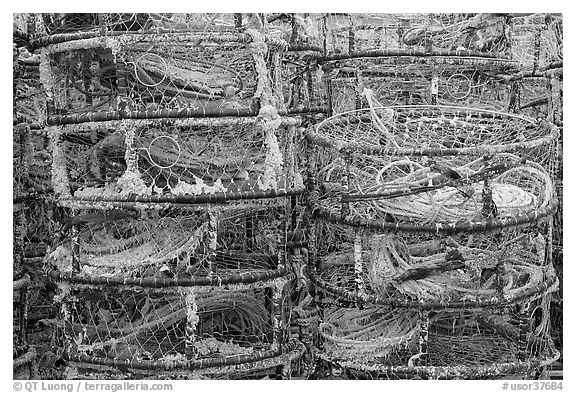 Crab traps. Newport, Oregon, USA (black and white)