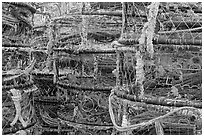 Traps for crabbing. Newport, Oregon, USA ( black and white)