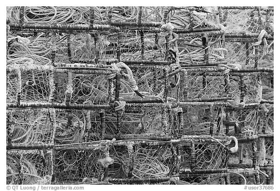 Close-up of crab traps. Newport, Oregon, USA