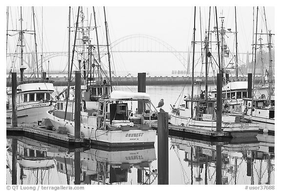 Commercial fishing boats and Yaquina Bay in fog. Newport, Oregon, USA (black and white)