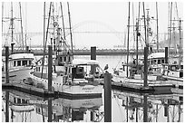 Commercial fishing boats and Yaquina Bay in fog. Newport, Oregon, USA (black and white)