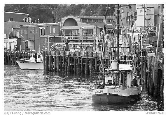 Fishing boats and pier. Newport, Oregon, USA (black and white)