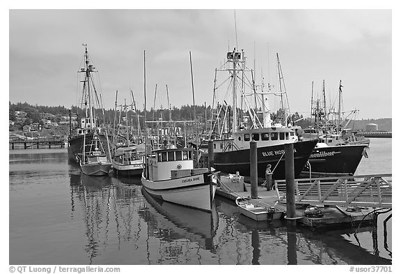 Commercial fishing boats. Newport, Oregon, USA (black and white)