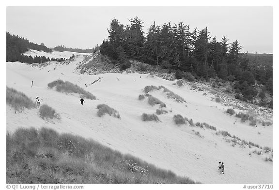 Dunes and hikers, Oregon Dunes National Recreation Area. Oregon, USA (black and white)