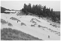 Dunes and hikers, Oregon Dunes National Recreation Area. Oregon, USA ( black and white)