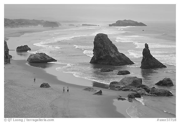 Beach and rock needles. Bandon, Oregon, USA