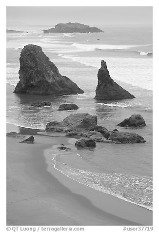 Rock needles. Bandon, Oregon, USA