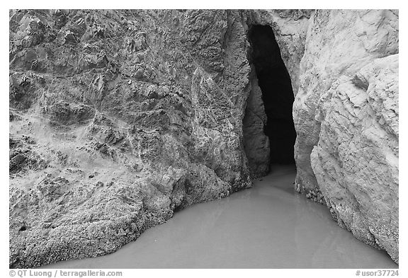 Seacave entrance. Bandon, Oregon, USA (black and white)