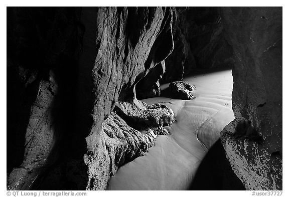 Light inside sea cave. Bandon, Oregon, USA (black and white)