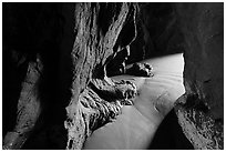 Light inside sea cave. Bandon, Oregon, USA (black and white)