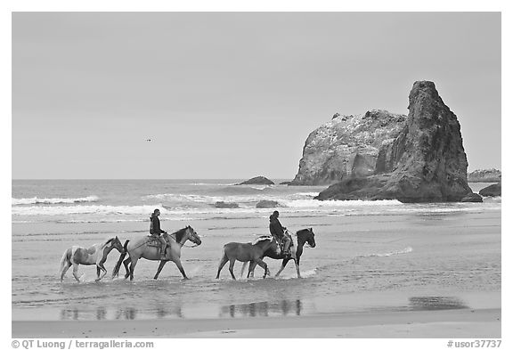 Women ridding horses on beach. Bandon, Oregon, USA (black and white)