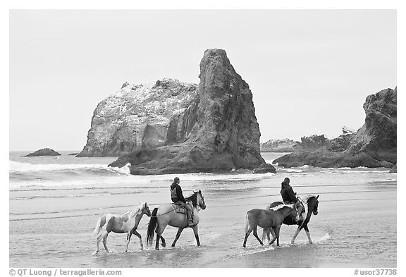 Women horse-riding on beach. Bandon, Oregon, USA (black and white)