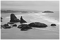 Sea stacks at Face Rock. Bandon, Oregon, USA ( black and white)