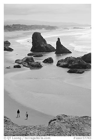 Beach and seastacks at Face Rock. Bandon, Oregon, USA (black and white)