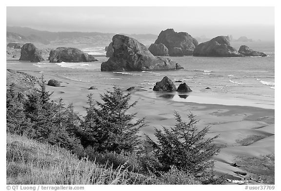 Seastacks and beach, Pistol River State Park. Oregon, USA