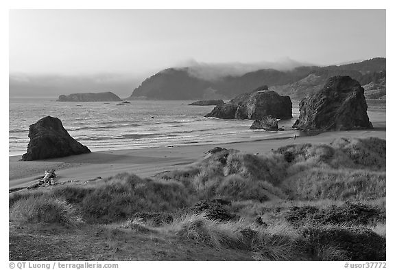Grasses, beach and seastacks, late afternoon, Pistol River State Park. Oregon, USA (black and white)