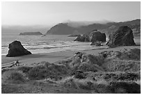 Grasses, beach and seastacks, late afternoon, Pistol River State Park. Oregon, USA (black and white)