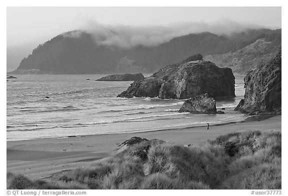 Solitary figure on beach, Pistol River State Park. Oregon, USA (black and white)