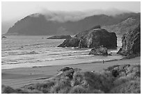 Solitary figure on beach, Pistol River State Park. Oregon, USA (black and white)