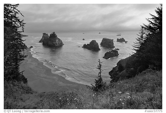 Coastline at sunset, Samuel Boardman State Park. Oregon, USA (black and white)